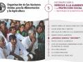 Imagen de la ficha 5 correspondiente a la serie de 10 debates sobre el derecho a la alimentación y la protección social