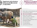 portada de la ficha que recoge el tercero de los debates sobre el derecho a la alimentación