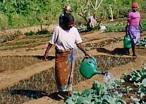 Día de la Mujer Rural