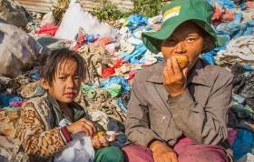 tres paradojas alimentarias