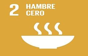 Logo del segundo objetivo de desarrollo sostenible, relacionado con el hambre cero