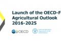 Portada del informe Agricultural Outlook