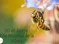 Cartel día munidal de las abejas