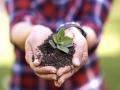 Imagen del informe Farming for the future