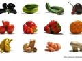 Alimentos que no responden a los estándares estéticos del comercio habitual