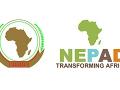 Logo de NEPAD (Nueva Alianza para el Desarrollo de África)