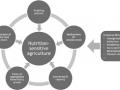 Gráfico de nutrition sensitive agriculture