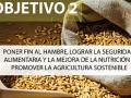 Descripción del objetivo de desarrollo sostenible 2, sobre hambre y malnutrición