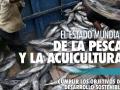 detalle de la portada del informe
