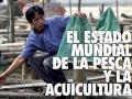 Portada del informe sobre el estado de la pesca en el mundo