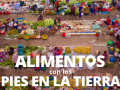 Detalle de laportada del informe
