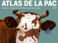 detalle de la portada del informe