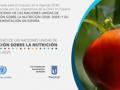 banner de la jornada sobre el decenio de acción sobre la nutrición