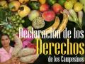 ilustración derechos de los campesinos
