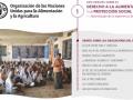 portada de la ficha sobre el primero de los diez debates sobre derecho a la alimentación y protección social