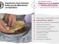 Imagen de la ficha del 2º debate sobre derecho a la alimentación y protección social