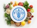 Logotipo de la FAO