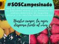 imagen de la campaña