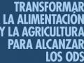 detalle de la portada del informe