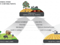 Transición de sistemas agroindustriales a sistemas agroecológicos
