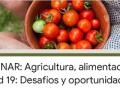 banner del webinar