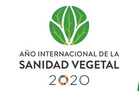 Logotipo del año internacional de la sanidad vegetal