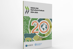 portada del informe