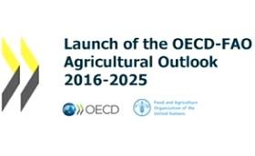 Portada del informe Agricultural Outlook