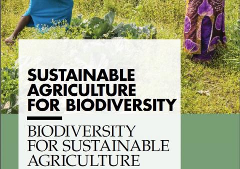 Detalle de la portada de un informe FAO sobre biodiversidad