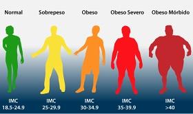 Gráfico sobre el índice de masa corporal que corresponde a cada estado nutricional