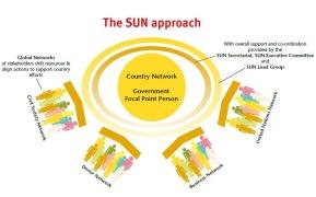 Scaling up Nutrition Movement