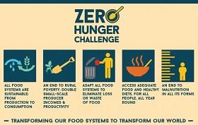 Banner del Zero Hunger Challenge