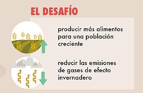 detalle de la infografía