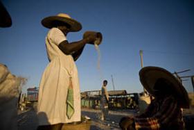 El fenómeno de El Niño ha agravado la situación de inseguridad alimentaria en algunos países