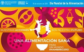 CArtel del día mundial de la alimentación 2019