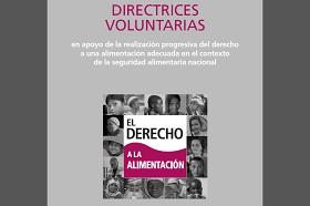 Potada de la publicación de las directrices voluntarias del derecho a la alimentación