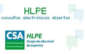 logotipo de las consultas electrónicas del Panel de Alto Nivel de Expertos del CSA